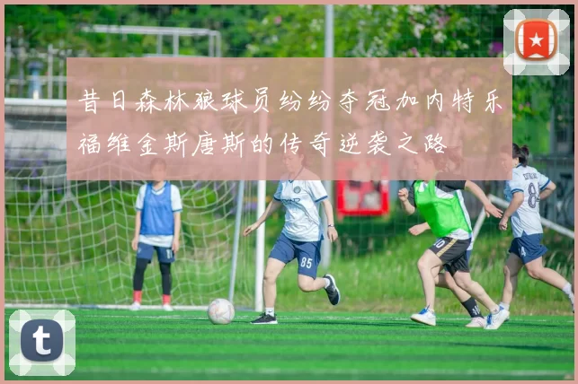 昔日森林狼球员纷纷夺冠加内特乐福维金斯唐斯的传奇逆袭之路